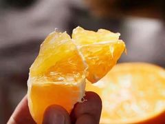 -上海龙吴水胜海发市场