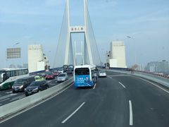 -BUS TOUR观光巴士