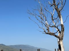 -新疆那拉提国家旅游度假区