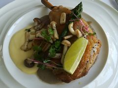 -蝶舍·MAISON PAPILLON