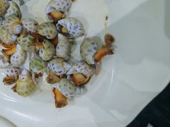 -小海豚•老字号海鲜餐厅(天涯店)