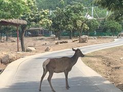 -西安秦岭野生动物园