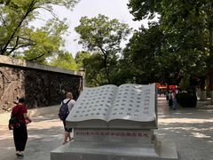 -大槐树寻根祭祖园