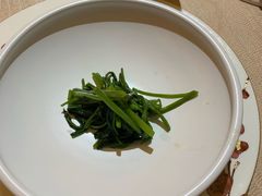 -诺莱仕游艇会