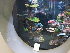 -大自然花鸟鱼虫市场