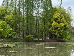 -洛阳市隋唐城遗址植物园