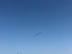 -大连凯丹广场