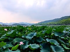 -杭州西湖风景名胜区-北街寻梦