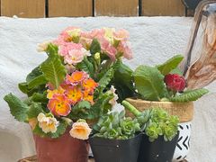 -十面欢腾(长乐路店)