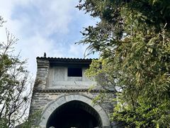 -汉中天台国家森林公园