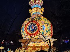-趵突泉景区