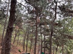 -北京十三陵国家森林公园蟒山景区
