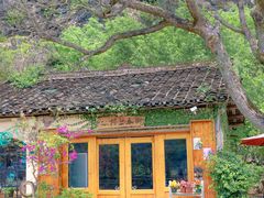 -村上春树
