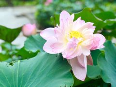 -龙环葡韵住宅式博物馆