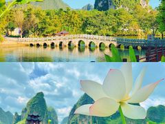 -靖西鹅泉风景区