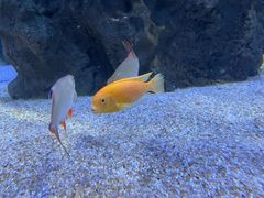 -成都浩海立方海洋公园