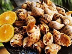 -吉利龙虾·新派海鲜烧烤