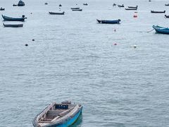 -海源公园
