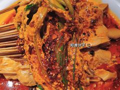 -福苗小骆驼烧烤(莲湖路店)