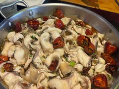 -百岁鱼(人民路店)