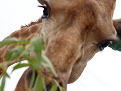 -鄂尔多斯野生动物园