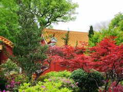 -南岳衡山风景名胜区-南岳大庙