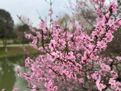 -苏州东太湖生态园