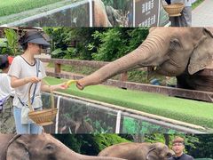 -西双版纳傣族园