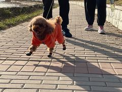 -华盛园卷子王农家菜水库鱼