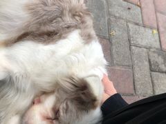 -豆舞咖啡(民乐路店)