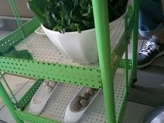 -润泽园海南椰子鸡·糟粕醋火锅(拱北店)