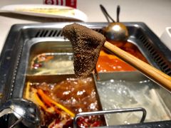 -海底捞火锅(泉城路店)