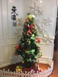 -东瀛国际造型