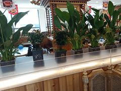 -大清花饺子(山庄店)