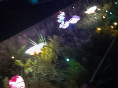 -沈阳植物园