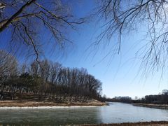 -大兴滨河森林公园