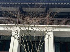 -杭州雅谷泉山庄酒店-餐厅