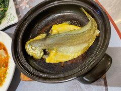 -大浪潮·潮汕菜·招牌生腌小青龙(福田店)