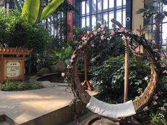 -郑州银基黄帝宫御温泉