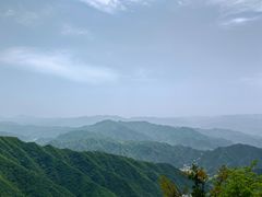 -王顺山国家森林公园