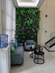 -苗医生草本科技祛痘