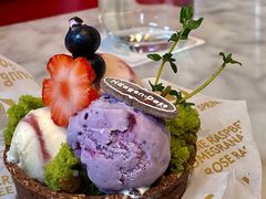 掌心花园plus&nbsp;&nbsp;外带冰淇淋-哈根达斯(龙湖时代天街店)