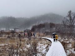 -神农架景区