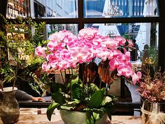 -狮拾久·现代新加坡料理(壹方城店)