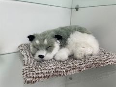 -瑞尔齿科(上海长风大悦城店)