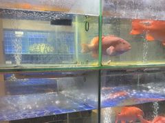 -海上名珠·海鲜酒楼(励骏庞都店)