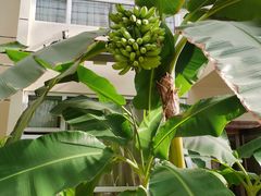 -兴芮温泉度假区