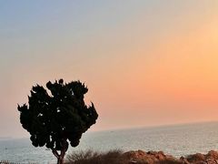 -小麦岛公园