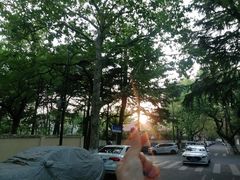 -八大关景区