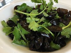 凉拌木耳-渭塘酒家(生态园店)